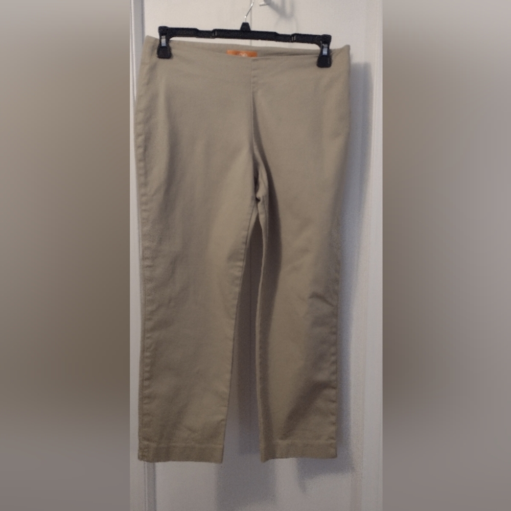 Joe Fresh Ankle pants size 10